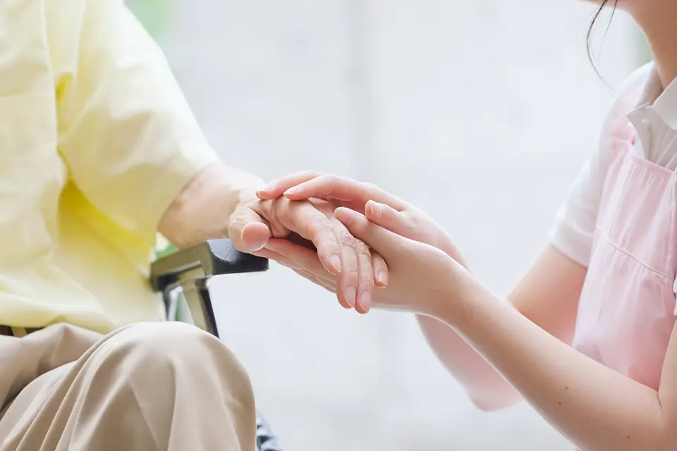 デイサービス,介護事業,フランチャイズ,内部監査代行サービス,企業研修